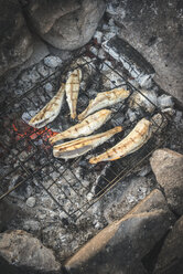 Grillen von Fisch auf dem Lagerfeuer - DEGF000503
