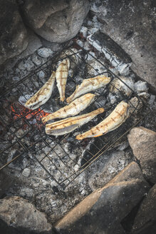 Grilling fish on camp fire - DEGF000503