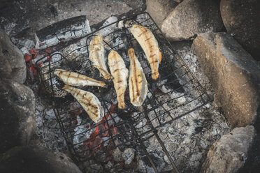 Grillen von Fisch auf dem Lagerfeuer - DEGF000504