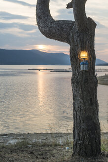 Bulgarien, Rhodopen, Gaslampe am Baumstamm am Dospat-Stausee bei Sonnenuntergang - DEGF000505