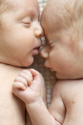 Newborn twins sleeping head to head - SHKF000333