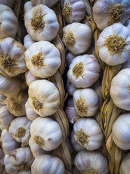 Garlic braids - AMF004122
