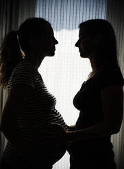 Pregnant woman and another woman together in front of bright window - KRPF001601