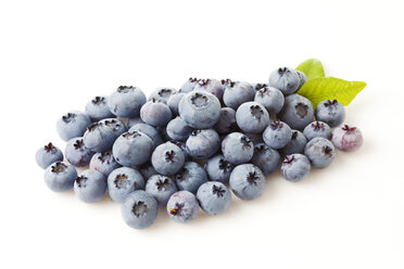 Blaubeeren mit Blättern auf weißem Grund - CSF026141