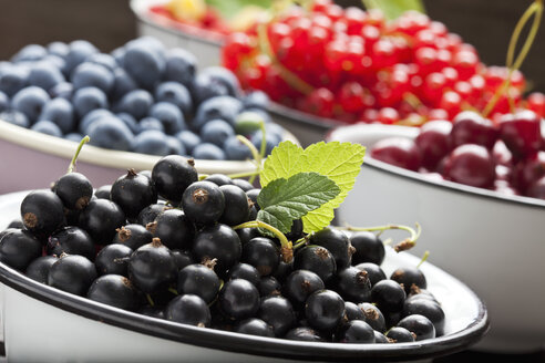 Schale mit schwarzen Johannisbeeren und Schalen mit anderen Früchten im Hintergrund - CSF026127