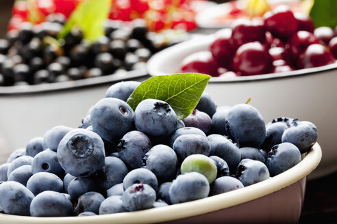 Schale mit Heidelbeeren und Schalen mit anderen Früchten im Hintergrund - CSF026126