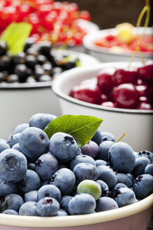 Schale mit Heidelbeeren und Schalen mit anderen Früchten im Hintergrund - CSF026125