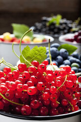 Bowl of red currants and bowls of other berries in the background - CSF026124