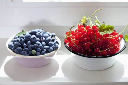 Zwei Schalen mit Blaubeeren und roten Johannisbeeren auf der Fensterbank - CSF026113