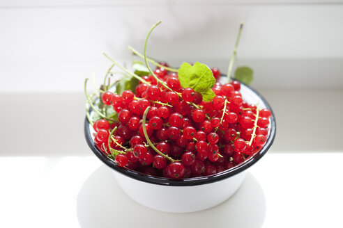 Schale mit roten Johannisbeeren auf der Fensterbank - CSF026110