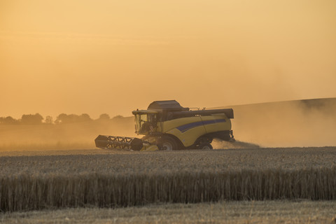 Deutschland, Niedersachsen, Mähdrescher auf dem Feld am Abend, lizenzfreies Stockfoto