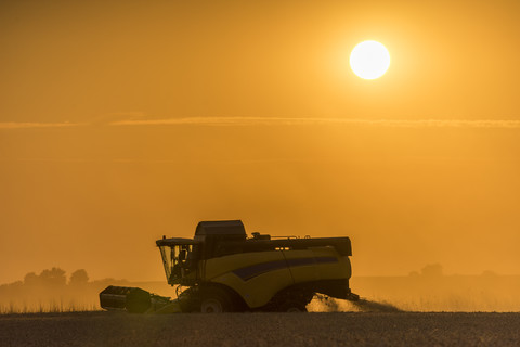 Deutschland, Niedersachsen, Mähdrescher auf dem Feld am Abend, lizenzfreies Stockfoto