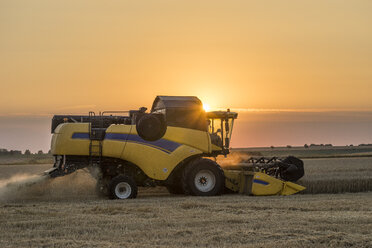 Deutschland, Niedersachsen, Mähdrescher auf dem Feld am Abend - PVCF000611