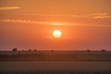 Deutschland, Niedersachsen, Sonnenuntergang und Feld - PVCF000609