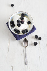 Türkischer Joghurt mit Brombeeren in der Schale - MYF001112