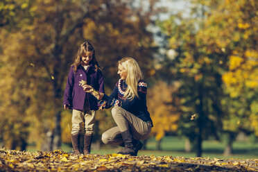 Mother and daughter playing with dry leaves in autumnal park - CHAF001073