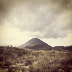 Neuseeland, Nordinsel, Tongariro-Nationalpark, Berg Ngauruhoe - GWF004381