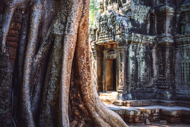 Kambodscha, Angkor Thom, Ruine eines Tempels - EHF000115