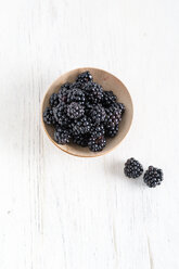 Fresh blackberries, bowls - MYF001111