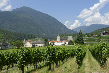 Italien, Südtirol, Kloster Neustift bei Brixen, Augustinerkloster, Weinberg - LB001174