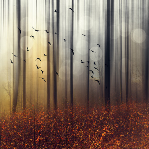 Vogelschwarm im Herbstwald, digital manipuliert, lizenzfreies Stockfoto
