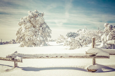 Germany, Baden-Wuerttemberg, Black Forest, Schliffkopf, snow-covered landscape - PUF000429