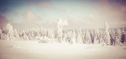 Deutschland, Baden-Württemberg, Schwarzwald, Schliffkopf, schneebedeckte Landschaft - PUF000432