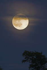 Germany, rise of full moon - UMF000783