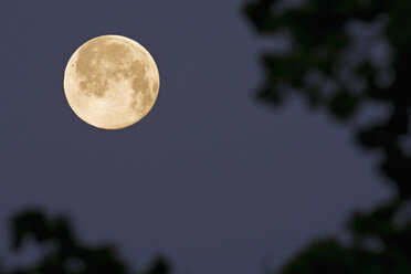 Germany, full moon in the morning - UMF000785