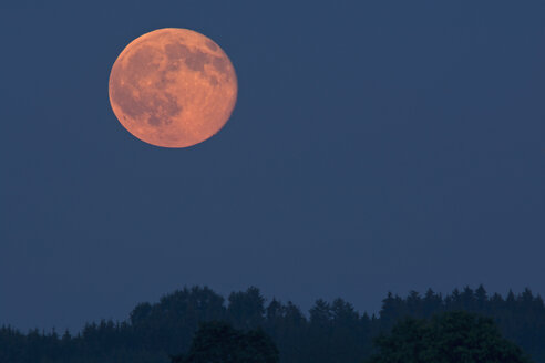 Germany, rise of full moon - UMF000789