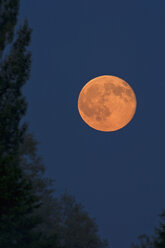 Germany, rise of full moon - UMF000790