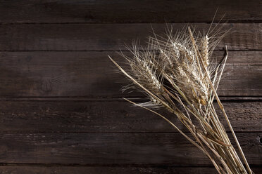 Barley, Hordeum vulgare, and rye, Secale cereale, on wood - CSF026270