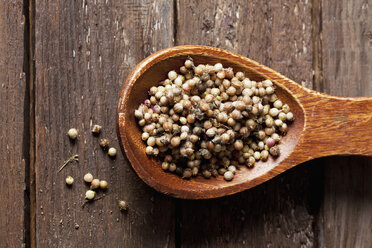 Coriander, Coriandrum sativum, on wood spoon - CSF026241