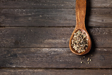 Coriander, Coriandrum sativum, on wood spoon, copy space - CSF026240