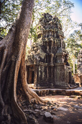 Kambodscha, Ruine eines Tempels in Angkor Thom - EHF000197