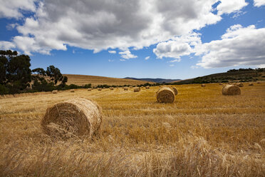 Südafrika, Blick auf ein abgeerntetes Feld mit Heuballen nahe der Route 62 - MPAF000028