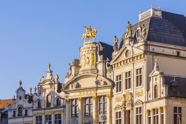 Belgium, Brussels, Guildhall, in the middle Maison de L'Arbre d'Or - WDF003209