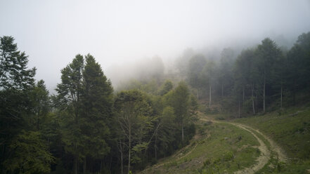 Path in the mountain with fog, vallfogona de ripolles, Garrotxa, Catalonia - SKCF000010