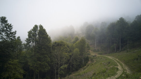 Pfad in den Bergen mit Nebel, vallfogona de ripolles, Garrotxa, Katalonien - SKCF000010