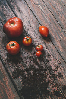 Tomatoes on wooden background - AKNF000010