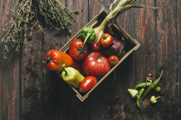 Paprika, Chilischoten, Tomaten, Zwiebeln und Bohnenkraut in einer Kiste auf hölzernem Hintergrund - AKNF000019