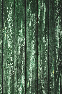 Holztextur, grünes Holz - AKNF000013