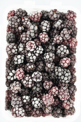 Gefrorene Brombeeren - MYF001124