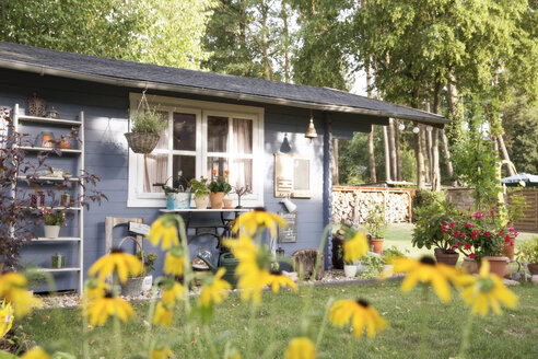 Germany, Eggersdorf, garden shed and flowers - FKF001352