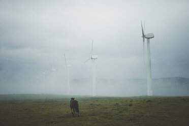 Spanien, Ortigueira, Reihe von Windkraftanlagen an einem nebligen Tag mit Pferd auf der Weide im Vordergrund - RAEF000362