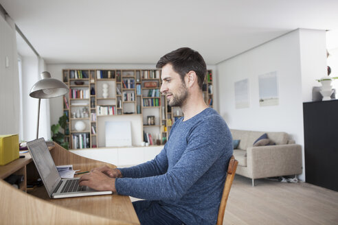 Mann zu Hause am Laptop - RBF003551