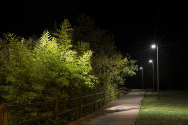 Spanien, Naron, Spaziergang in einem von Straßenlampen beleuchteten Park bei Nacht - RAEF000372