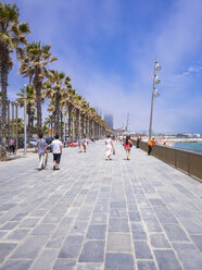 Spanien, Barcelona, La Barceloneta, Strand und Promenade von San Sebastia - AMF004138