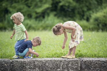 Three little children playing together - OPF000072