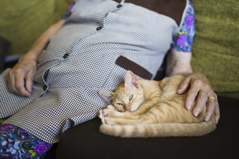 Tabby-Kätzchen liegt neben einer alten Frau auf der Couch, lizenzfreies Stockfoto